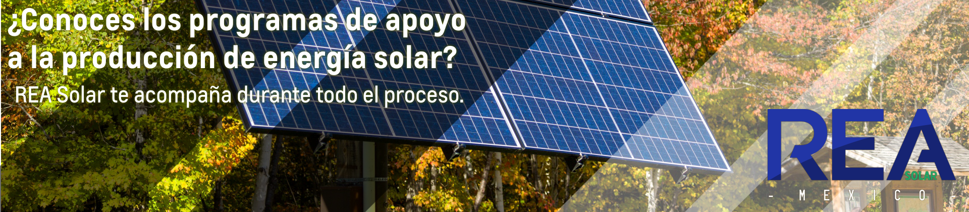 REA SOLAR MEXICO